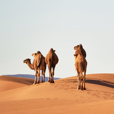 甘肃、青海大环线双飞8日