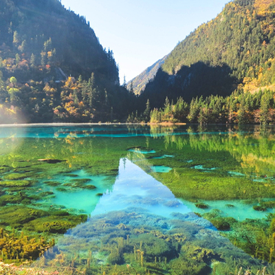 黄龙-九寨沟-成都六日游